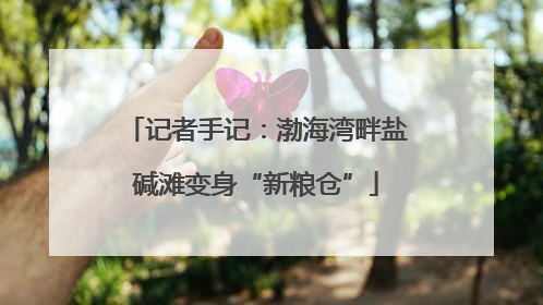 记者手记：渤海湾畔盐碱滩变身“新粮仓”