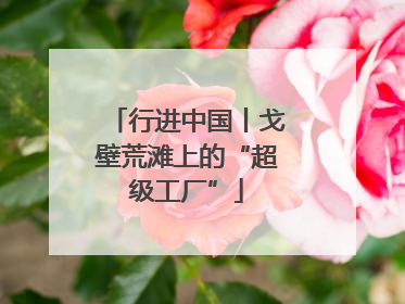 行进中国丨戈壁荒滩上的“超级工厂”