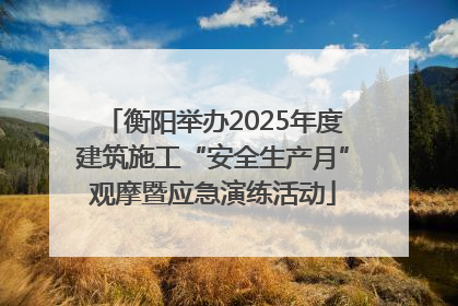 衡阳举办2025年度建筑施工“安全生产月”观摩暨应急演练活动