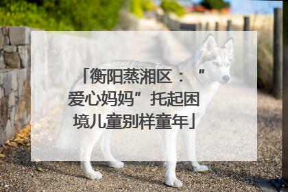 衡阳蒸湘区：“爱心妈妈”托起困境儿童别样童年