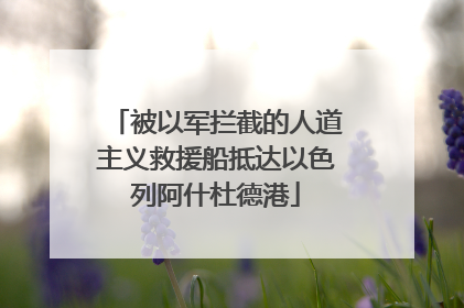 被以军拦截的人道主义救援船抵达以色列阿什杜德港