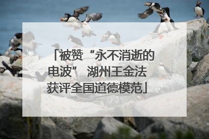 被赞“永不消逝的电波” 湖州王金法获评全国道德模范