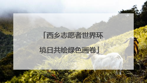 西乡志愿者世界环境日共绘绿色画卷