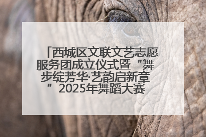 西城区文联文艺志愿服务团成立仪式暨“舞步绽芳华·艺韵启新章”2025年舞蹈大赛展演圆满举办