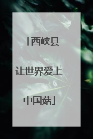 西峡县 让世界爱上中国菇