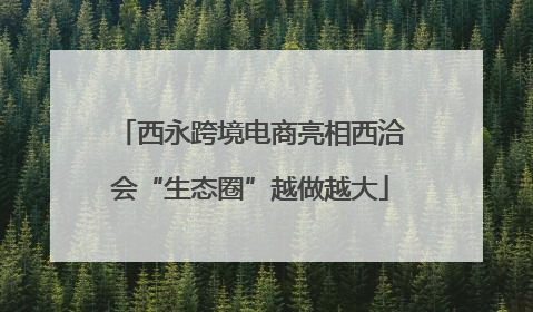 西永跨境电商亮相西洽会“生态圈”越做越大