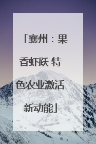 襄州：果香虾跃 特色农业激活新动能