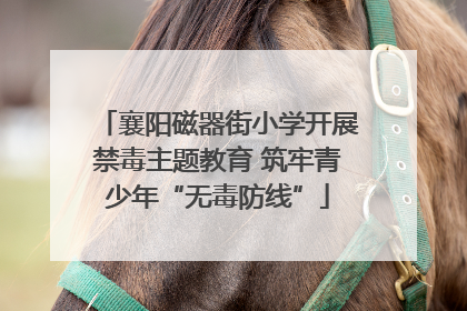 襄阳磁器街小学开展禁毒主题教育 筑牢青少年“无毒防线”