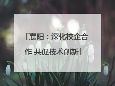 襄阳：深化校企合作 共促技术创新