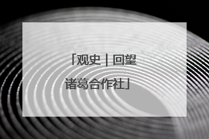 观史｜回望诸葛合作社