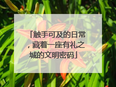 触手可及的日常，藏着一座有礼之城的文明密码