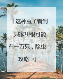 这种虫子看到一只家里很可能有一万只，除虫攻略→