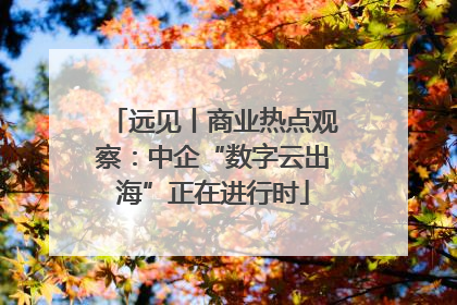 远见丨商业热点观察：中企“数字云出海”正在进行时