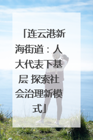 连云港新海街道：人大代表下基层 探索社会治理新模式