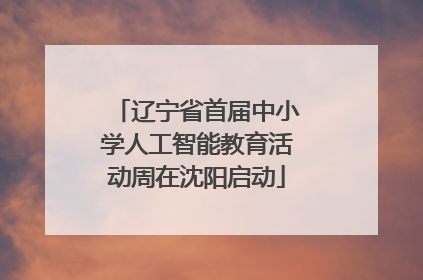 辽宁省首届中小学人工智能教育活动周在沈阳启动