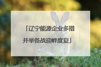 辽宁能源企业多措并举备战迎峰度夏
