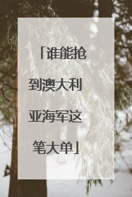 谁能抢到澳大利亚海军这笔大单