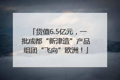 货值6.5亿元，一批成都“新津造”产品组团“飞向”欧洲！