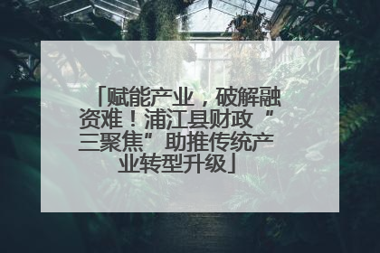 赋能产业，破解融资难！浦江县财政“三聚焦”助推传统产业转型升级