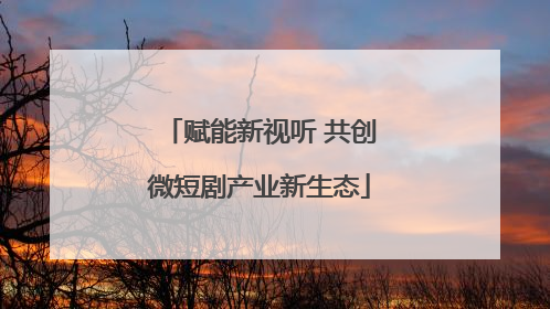 赋能新视听 共创微短剧产业新生态