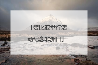 赞比亚举行活动纪念非洲日