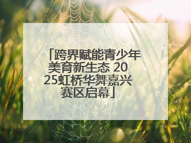 跨界赋能青少年美育新生态 2025虹桥华舞嘉兴赛区启幕