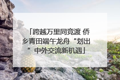 跨越万里同竞渡 侨乡青田端午龙舟“划出”中外交流新机遇