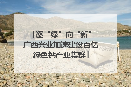 逐“绿”向“新” 广西兴业加速建设百亿绿色钙产业集群