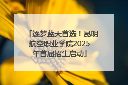 逐梦蓝天首选！昆明航空职业学院2025年首届招生启动