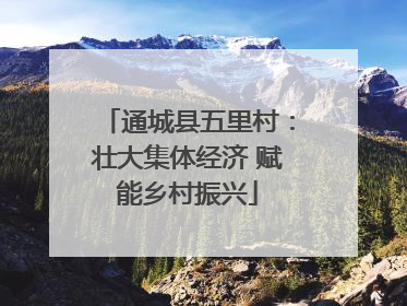 通城县五里村：壮大集体经济 赋能乡村振兴