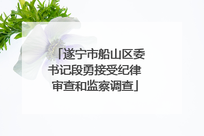 遂宁市船山区委书记段勇接受纪律审查和监察调查