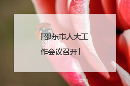 邵东市人大工作会议召开