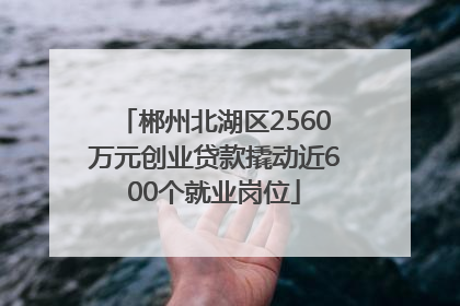 郴州北湖区2560万元创业贷款撬动近600个就业岗位