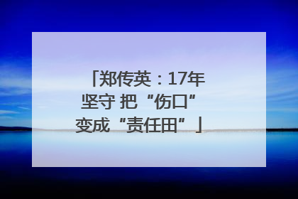 郑传英：17年坚守 把“伤口”变成“责任田”