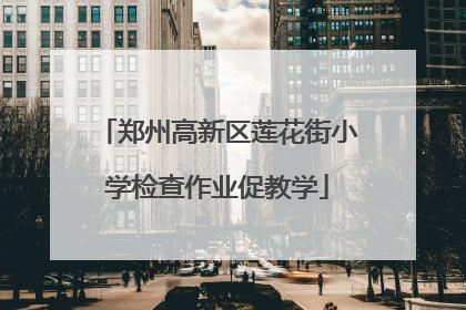 郑州高新区莲花街小学检查作业促教学