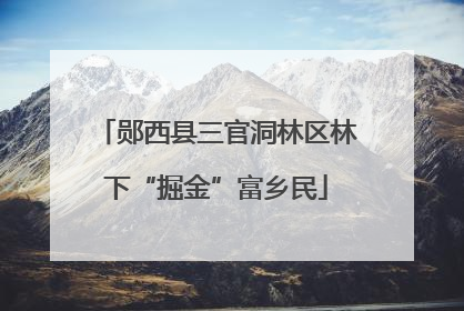 郧西县三官洞林区林下“掘金”富乡民
