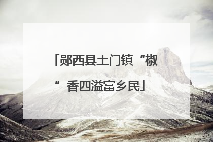 郧西县土门镇“椒”香四溢富乡民