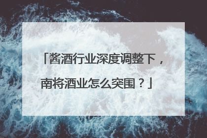 酱酒行业深度调整下，南将酒业怎么突围？
