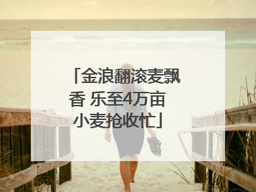 金浪翻滚麦飘香 乐至4万亩小麦抢收忙