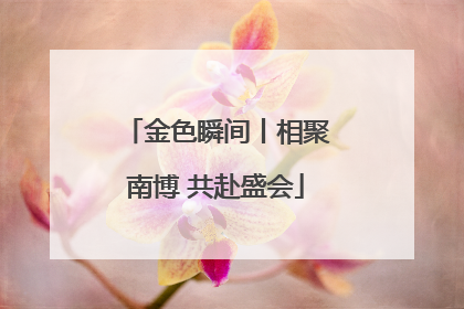 金色瞬间丨相聚南博 共赴盛会