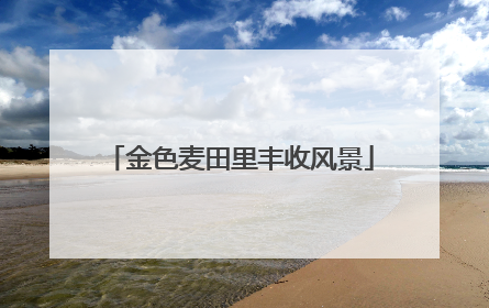 金色麦田里丰收风景