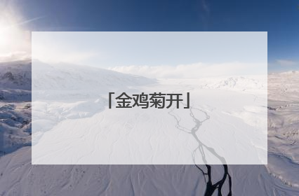 金鸡菊开