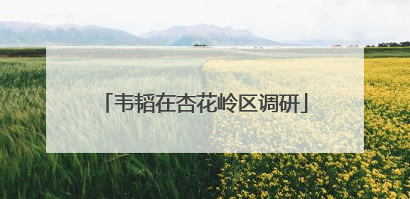 韦韬在杏花岭区调研