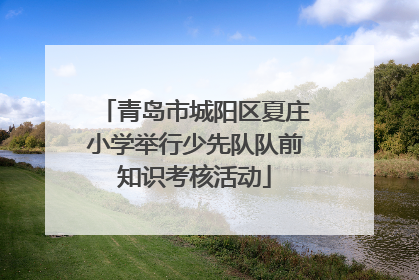 青岛市城阳区夏庄小学举行少先队队前知识考核活动