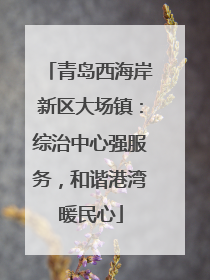 青岛西海岸新区大场镇：综治中心强服务，和谐港湾暖民心