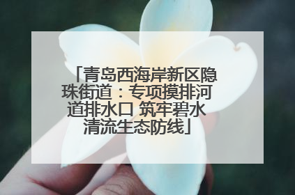 青岛西海岸新区隐珠街道：专项摸排河道排水口 筑牢碧水清流生态防线