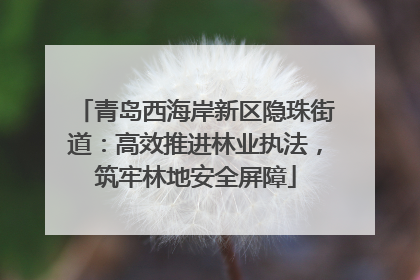青岛西海岸新区隐珠街道：高效推进林业执法，筑牢林地安全屏障