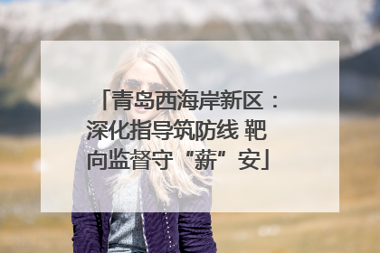 青岛西海岸新区：深化指导筑防线 靶向监督守“薪”安