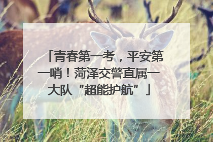 青春第一考，平安第一哨！菏泽交警直属一大队“超能护航”