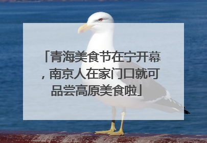 青海美食节在宁开幕，南京人在家门口就可品尝高原美食啦